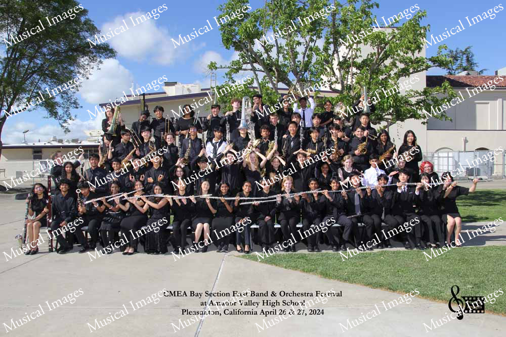 Musical Images